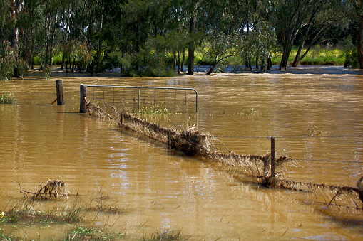 istock Muddy flood water  and rural fence 1429574803