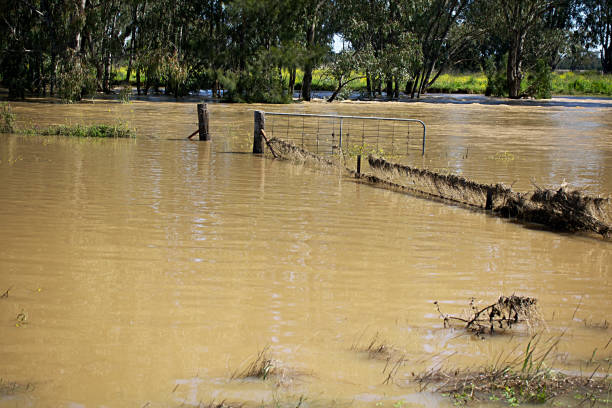 istock Muddy flood water  in the pasture 1429574855