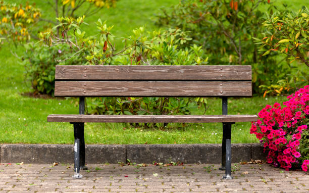 피튜니아 꽃과 진달래가있는 공공 공원의 나무 벤치 - bench park bench park wood 뉴스 사진 이미지