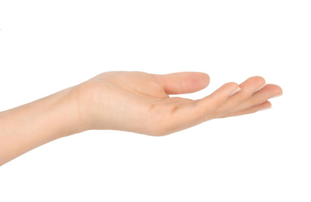 istock Female hand isolated on white background 1429577834