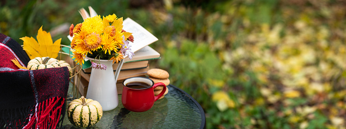 Autumn composition in autumn garden. Warm woolen red blanket, pumpkin, coffee cup, cookies, books, decorations, autumn leaves on table. Fall background, copy space