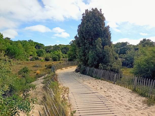 istock Sandy path near the sea 1429581279