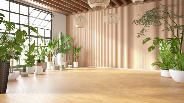 istock Empty Cozy Living Room with Green Plants 1429588480