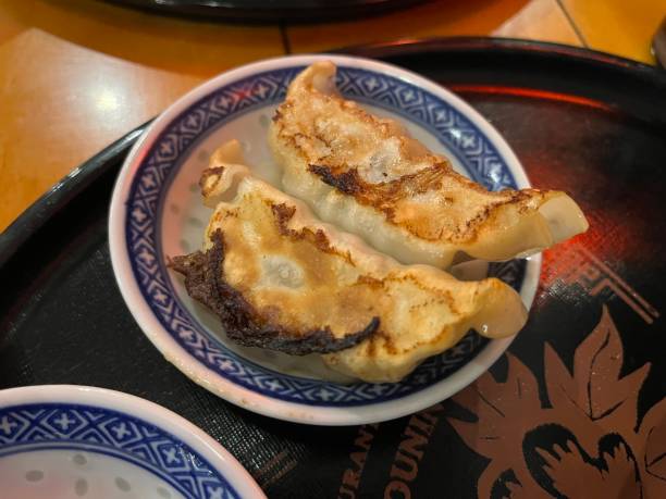 Two pan-fried dumplings stock photo