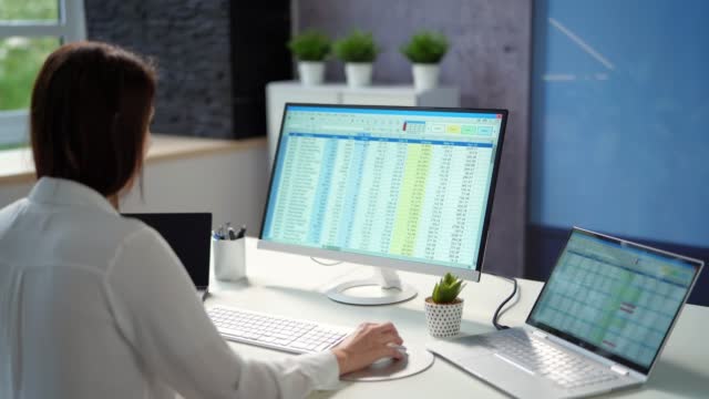 Data Analyst Woman Using Spreadsheet