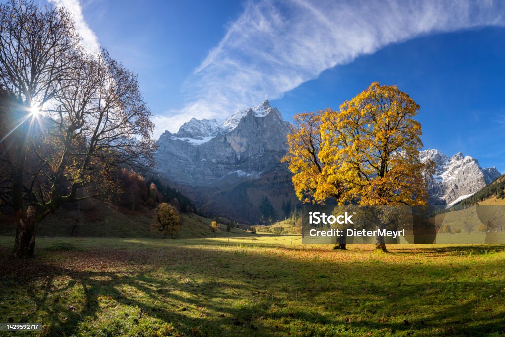 Autumn in Alps, Maple trees at Ahornboden, Karwendel mountains, Tyrol, Austria Austria, Tyrol State - Austria, Autumn, Autumn Leaf Color, Brown Autumn Stock Photo