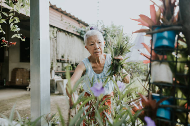 istock Thai senior woman using pruning shears for cutting her flower 1429599776