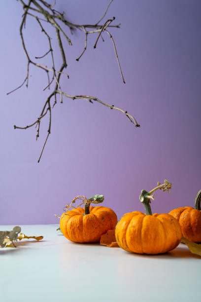 istock Three orange pumpkins on a purple Halloween background and twigs 1429608451