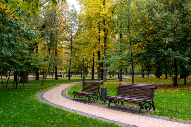 istock Path in the autumn park 1429613386