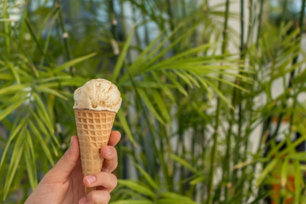 young hand holds an ice cream cone on a background of green palm trees. the concept of relaxation by the sea on a bright, hot and sunny day on the beach stock photo