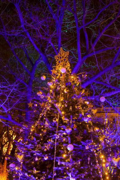 istock Christmas tree in Vienna, Austria 1429614948