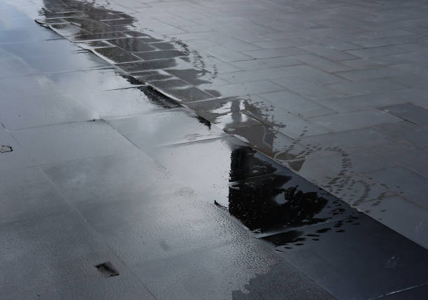 reflect on water and wet floor
