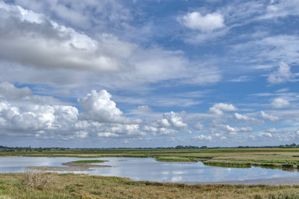 Wester Spaetinge Nature Reserve close to Simonsberg and Husum,North Frisia,Germany