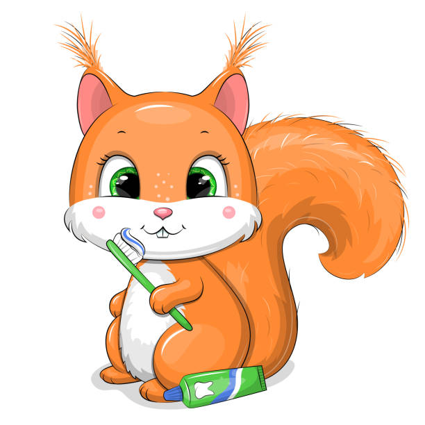 A cute cartoon squirrel with toothpaste and a toothbrush is brushing the teeth. Vector illustration of an animal on a white background. toothbrush toothpaste backgrounds beauty stock illustrations