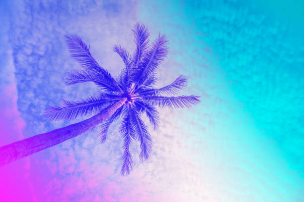 istock Pastel tones tropical palm trees 1429634440