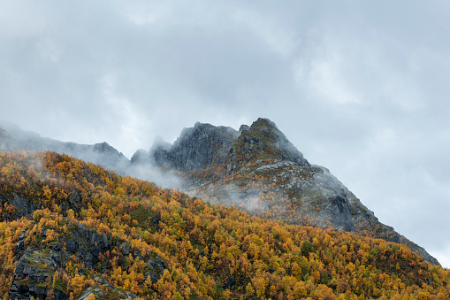 Autumn color in landscape in a cloudy day, Senja island, Norway
