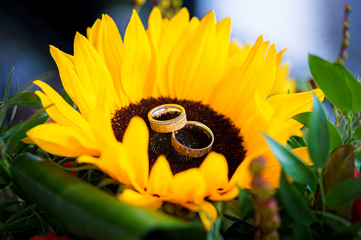 wedding rings on the yellow bride bouquet.Declaration of love, spring. Wedding card, Valentine's Day greeting. Wedding rings. Wedding bouquet, background