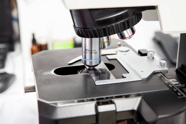 istock Microscope slide with pap smear sample on the microscope for scientist diagnosis at cytology or pathology department. Cervical cancer concept. Medical concept. 1429650737