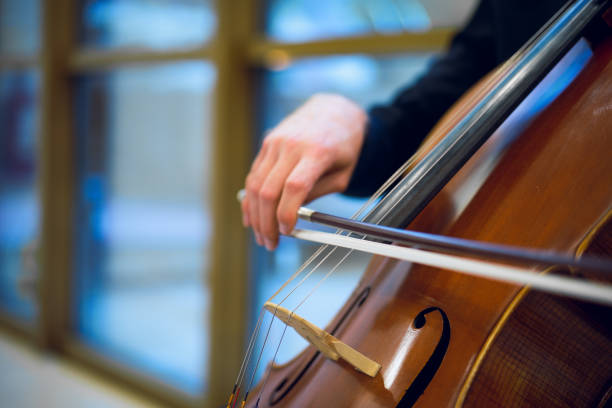 istock Unrecognizable man playing the cello in public 1429657103