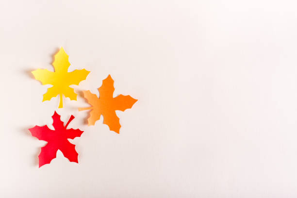 istock Three cut out multi-colored maple leaves from craft paper. Autumn decoration. 1429662772