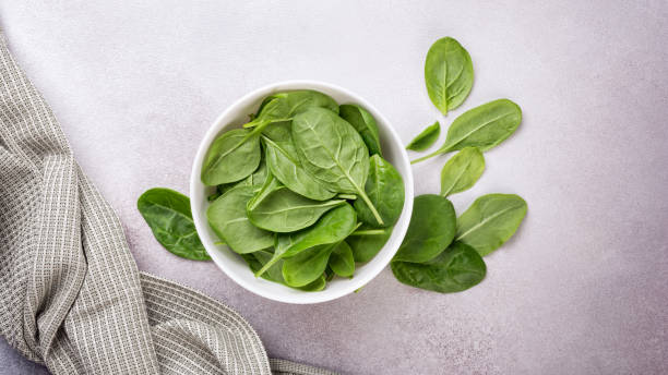 Green fresh baby spinach