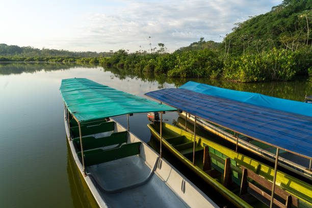 istock Beautiful limoncocha lagoon, biological reserve 1429669189