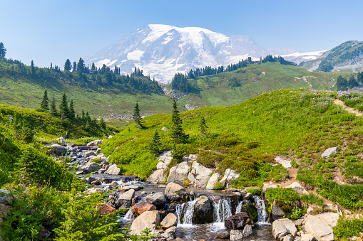 Scenic creek in the beautiful valley. Amazing view at the snowy peaks which rose against the blue sky.  Sunrise Area, Mount Rainier