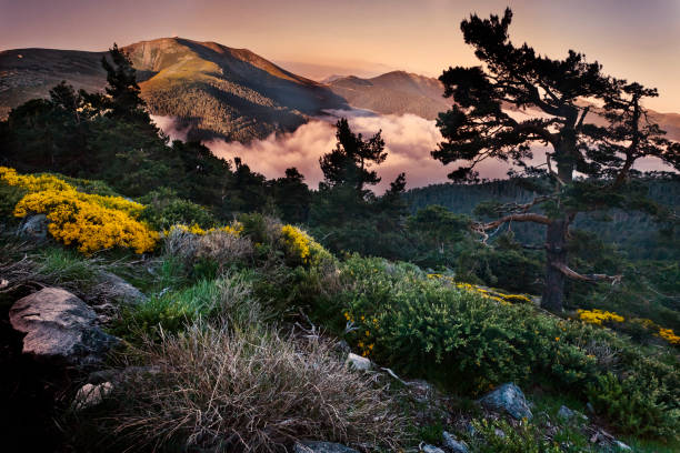 istock Sierra de Guadarrama 1429673413