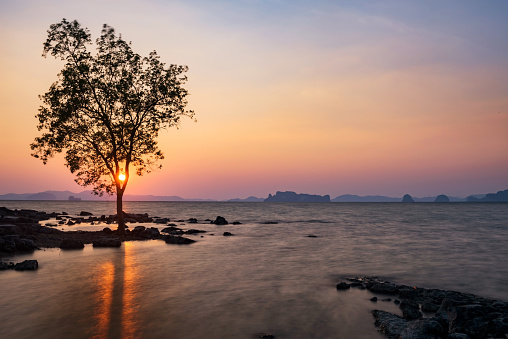 Silhouette tree with motion wave against sunset at koh Kwang island in Krabi,Thailand. Famous travel destination in summer vacation.