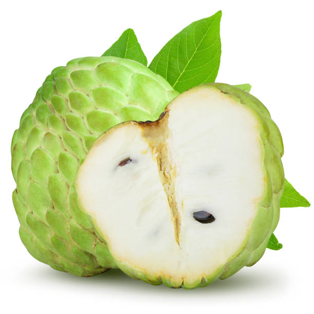 istock Sugar apple or custard apple whole ripe exotic tropical fruit isolated on a white background 1429675510