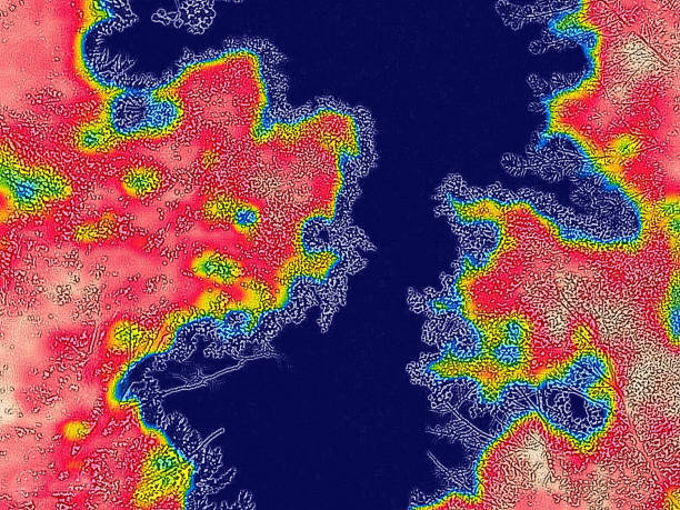 istock Leaves and lichens infrared 1429679219
