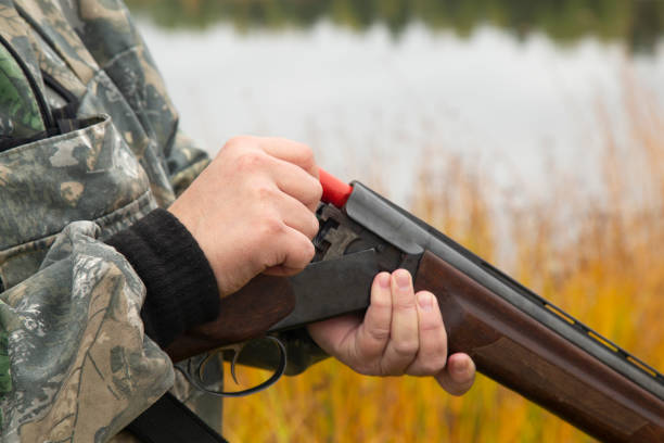 istock Duck hunting in autumn. 1429679236