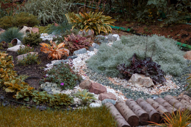 istock perennial plants flower bed 1429681952