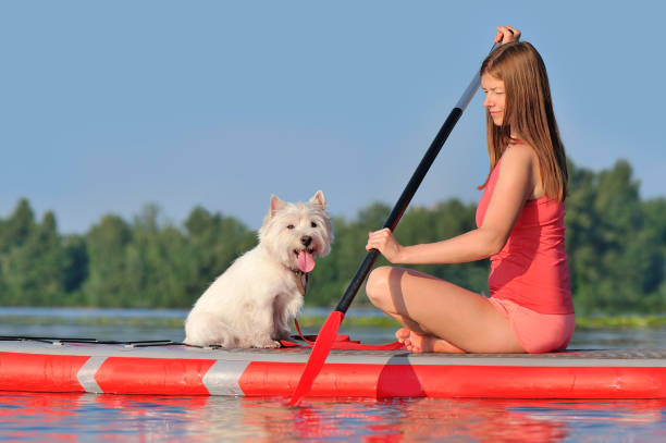 istock Side view picture of a paddle boarder with her dog 1429685733