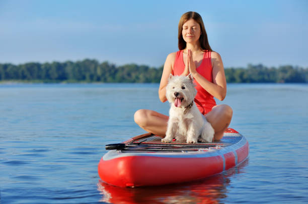istock Young woman practicing paddle board yoga with her pet 1429685787