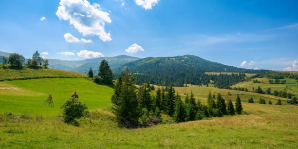 istock mountainous rural landscape in summer 1429686086