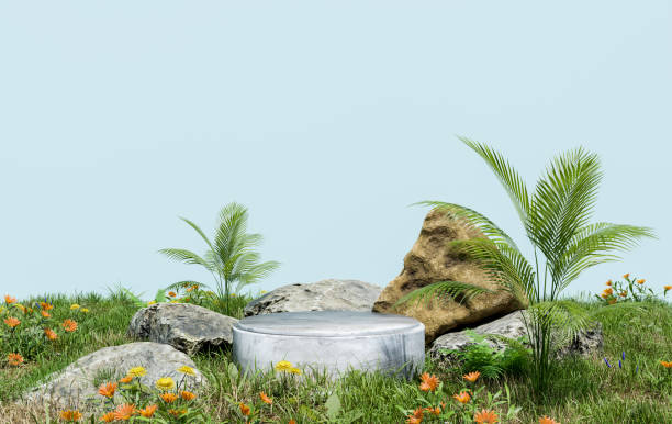 istock nature podium with blue background 1429688632