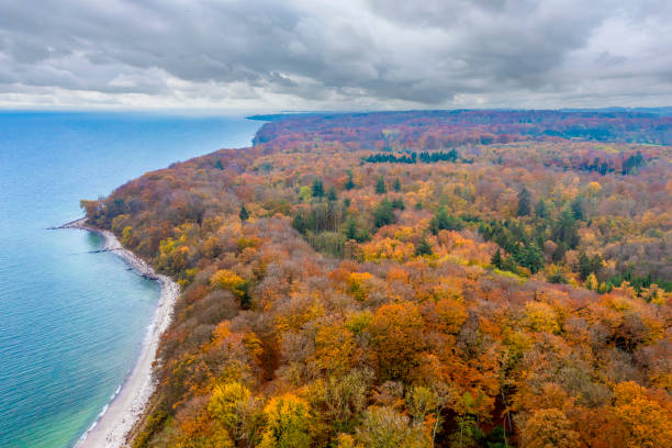 istock View of Moesgaard Forest and Beach, Aarhus, Denmark 1429689214