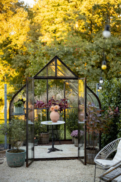 istock Glasshouse for flowers and plants at backyard 1429690416