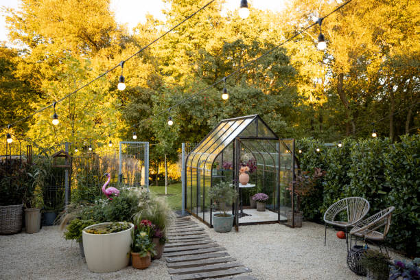 istock Garden with a hot house on nature 1429690454