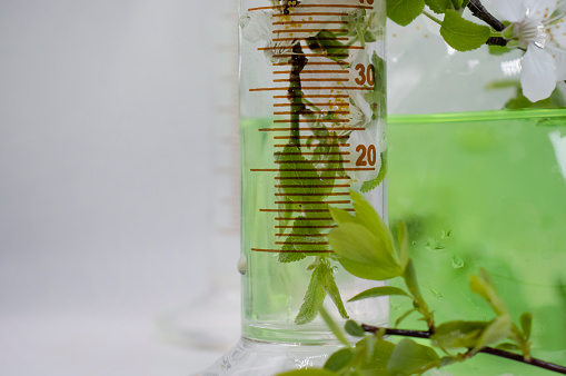 Laboratory flask flower on a light background