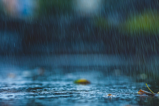 10,000+ Free Rain & Water Images - Pixabay