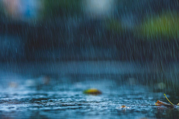 Raindrops on asphalt. Rain. Rainy weather. Downpour stock photo