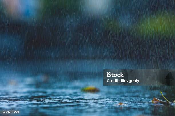 Raindrops On Asphalt Rain Rainy Weather Downpour Stock Photo - Download Image Now