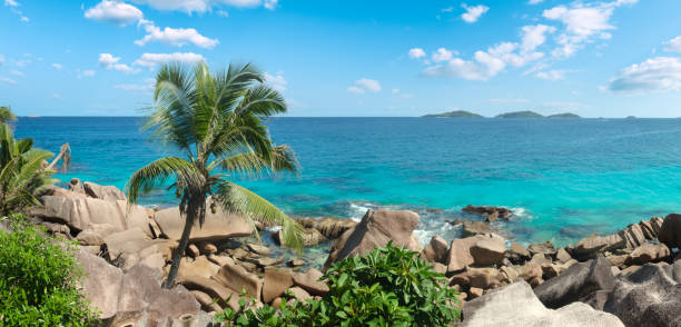 Young woman in bikini relaxing on a rock at Anse Source d'Argent beach. Copy space.