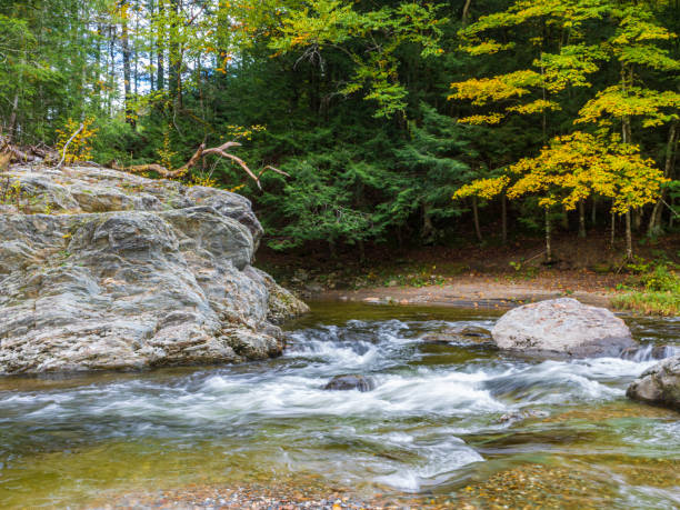 istock Rapid at Huntington Gorge in Vermont 1429704875