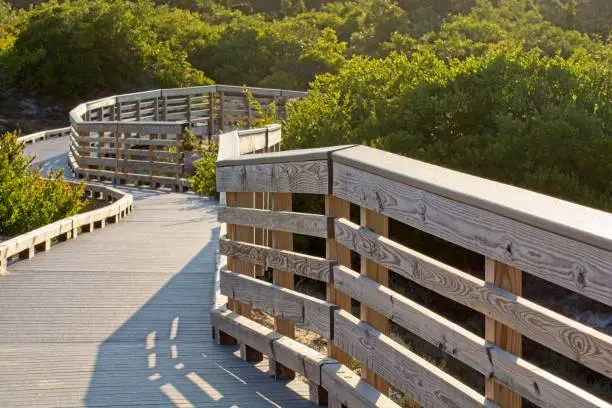 Wooden boardwalk and fence railing  winding down through sand dunes of Parker River National Wildlife Refuge. Late afternoon shadows cast by fence