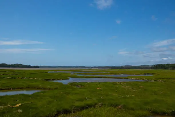 Photo of View Over a Salt Marsh