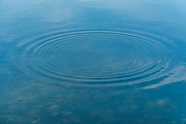 istock Circles on a water surface after the splash. 1429715195