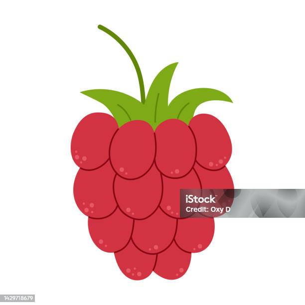 Rapsberry Vector Image Ripe Raspberry Flat Vector Illustration Isolated On White Background ...